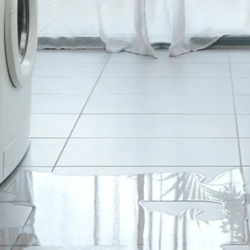 Appliance Leak Cleanup in Wendell, NC