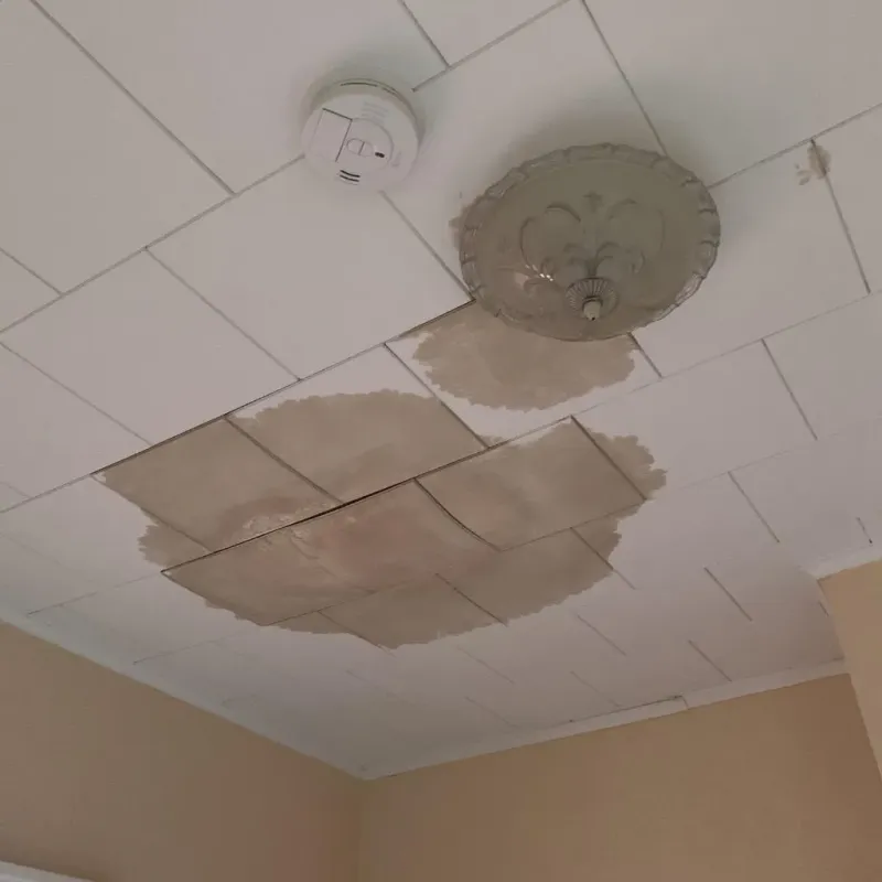Ceiling Water Damage Repair in Wendell, NC