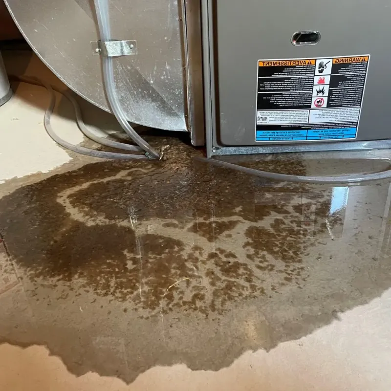 Pipe Burst and Leak Restoration in Wendell, NC