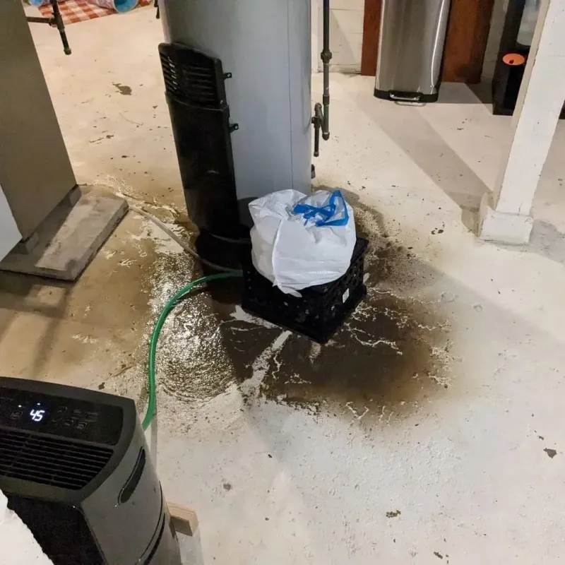 Sewage Backup Cleanup Service in Wendell, NC